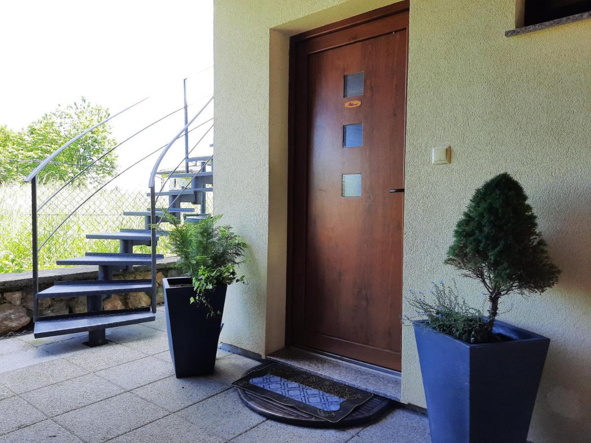 Spacious Apartment "Ana" On Lake Sabljaci オグリン エクステリア 写真